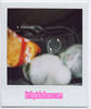 polaroids