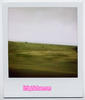 polaroids